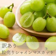 訳あり大容量】パリッと爽快シャインマスカット恵 ｜ 果物/ぶどう 産直