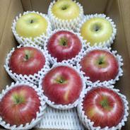 2箱縛り信州産りんごの詰め合わせ 2箱縛り約6kg(3kg箱×2) 果物や野菜などのお取り寄せ宅配食材通販産地直送アウル