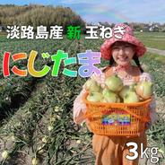 淡路島産''新たまねぎ''「にじたま」2.5㎏【極早生】 ｜ 野菜/玉ねぎ
