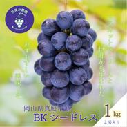 B-1　花笑み農園　岡山の『BKシードレス』1kg（2房）【9/14～順次発送】 １ｋｇ 果物や野菜などのお取り寄せ宅配食材通販産地直送アウル