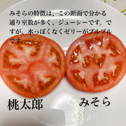 中川様  専用   約  8キロ 8キロ 果物や野菜などのお取り寄せ宅配食材通販産地直送アウル