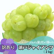 【訳有り】瀬戸ジャイアンツ2kg 瀬戸ジャイアンツ2kg 果物や野菜などのお取り寄せ宅配食材通販産地直送アウル