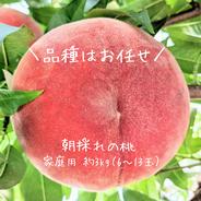 お贈物にも!ご家庭でも!!〉なつっこ 約3kg(7~12玉) ｜ 果物/もも 産直