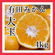 5kg(箱込み) 】 厳選絶品 小玉 有田みかん ｜ 果物/温州みかん 産直