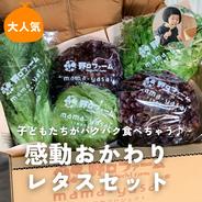 子どもたちがパクパク食べちゃう⭕感動おかわりレタスセット❗ おかわりレタス５玉セット 果物や野菜などのお取り寄せ宅配食材通販産地直送アウル