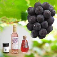 P-JWN　花笑み農園　ピオーネと加工品セット（ピオーネジャム&ワイン＆飲む酢） ピオーネ1房＋3本セット（ジャム、ワイン、飲む酢　各1本） 果物や野菜などのお取り寄せ宅配食材通販産地直送アウル