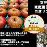 青森りんご「3セット限定」「糖度13%保証」希少100年雪完熟サン