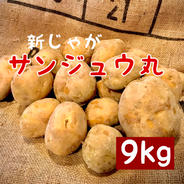 新じゃがいも サンジュウ丸 馬鈴薯新品種 9kg 果物や野菜などのお取り寄せ宅配食材通販産地直送アウル