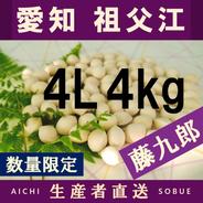 冷凍梅】南高梅（3～4L混在サイズ）4kg和歌山産「冷凍便」 ｜ 果物
