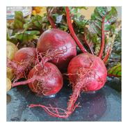 訳あり・ビーツ(根のみ)5kg 5kg 果物や野菜などのお取り寄せ宅配食材通販産地直送アウル