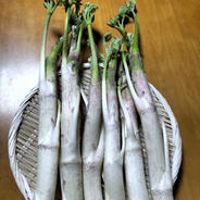 ラスト一名様 天然山ウド ｜ 野菜/山菜 産直アウル 農家・漁師など生産