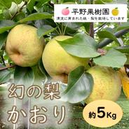 清流球磨梨・かおり　5kg箱(5〜14個入り) 約5kg 果物や野菜などのお取り寄せ宅配食材通販産地直送アウル