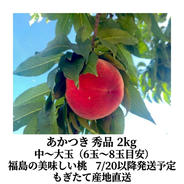 朝採り新鮮】産地直送 福島県産 桃 あかつき 秀品 約5kg 13〜15玉 ご
