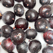 ビオレソリエス極小玉3パック 3パック  24個 果物や野菜などのお取り寄せ宅配食材通販産地直送アウル