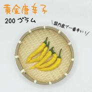 大分慶珉 黄金唐辛子乾燥　1000本 日本一辛い？！黄金唐辛子(乾燥)100本 ｜ 野菜/スパイス 産直アウル