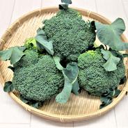【おすすめ商品】柔らかく美味しいブロッコリー4本セット　農薬不使用（無農薬）栽培 ブロッコリー　4本  果物や野菜などのお取り寄せ宅配食材通販産地直送アウル
