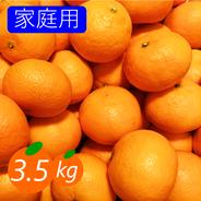【家庭用】カラマンダリン 3.5kg 春みかん♡濃厚な味わい！愛媛みかん！！【アウルの日】 28個前後(目安) 果物や野菜などのお取り寄せ宅配食材通販産地直送アウル