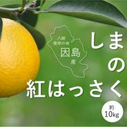 しまの紅はっさく（大） 約10kg 果物や野菜などのお取り寄せ宅配食材通販産地直送アウル