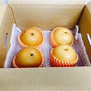 【選果落ち 訳あり商品】熊本県産 梨 約3kg サイズ不揃い【002】規格外 家庭用 贈答不可 加工用 幸水 豊水 あきづき 新高 なし 果物 くだもの  果物 フルーツ  発送予定日 7月下旬以降  約3kg  　サイズ、玉数は時期によって変わります。 果物や野菜などのお取り寄せ宅配食材通販産地直送アウル