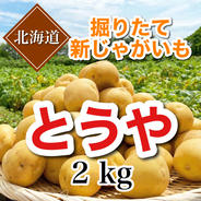 調理に万能『とうや』北海道産じゃがいも 2kg 果物や野菜などのお取り寄せ宅配食材通販産地直送アウル