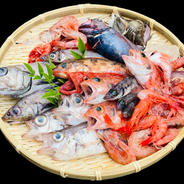 【9月予約先行】魚ガチャ！何が入っているかわからない【おかず】 おかず1 果物や野菜などのお取り寄せ宅配食材通販産地直送アウル