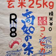 送料込み 令和8年産 新米 高知県産 コシヒカリ 玄米30kg(袋込み) ｜ 米