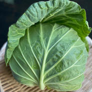 あまだまキャベツ2個、あやめ雪カブ1kgセット 約4kg 果物や野菜などのお取り寄せ宅配食材通販産地直送アウル