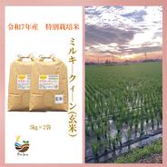 R7年産特別栽培米 コシヒカリ（玄米）20kg ｜ 米・穀物/玄米 産直
