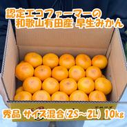 小玉サイズ(3S・2S）・秀／優混合・10㎏】和歌山有田産！早生