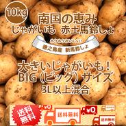 大きいじゃがいも！ BIG(ビッグ)サイズ混合 2L以上～10kg 新じゃがいも 送料無料 赤土 新じゃが 九州鹿児島徳之島産 にしゆたか 贈物 ギフト 長期保存 箱買い 南国野菜 南の島 産地直送 馬鈴薯 南国の恵み 新ばれいしょ じゃが芋【アウルの日】 10㎏ 果物や野菜などのお取り寄せ宅配食材通販産地直送アウル