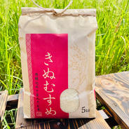 【令和6年産】きぬむすめ　10kg（5kg×2袋） きぬむすめ　10kg 果物や野菜などのお取り寄せ宅配食材通販産地直送アウル