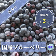 冷凍ブルーベリー3キロ（加工用） | 果物/ベリー類 産直アウル 農家