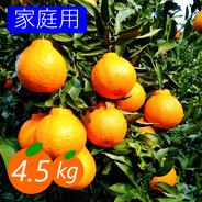 203愛媛県産 不知火 デコポン 家庭用 14㎏ 家庭用】不知火 2kg 糖と酸のせめぎ合い♡スッキリ系ジューシー柑橘