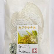 もち米「マンゲツモチ」30kg（玄米）お餅や赤飯に最適！自家製米ぬかと