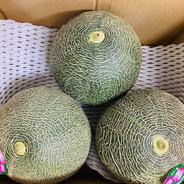 選果落ち 訳あり商品 熊本県産 肥後グリーン メロン 青肉 2玉 2kg以上