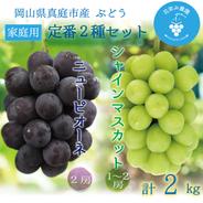 PS-2家 花笑み農園 岡山の『ピオーネ&シャインマスカット』約2kg（3～4房）家庭用【9/18～順次発送】 約2ｋｇ（ピオーネ２房、シャインマスカット大1～中2房） 果物や野菜などのお取り寄せ宅配食材通販産地直送アウル