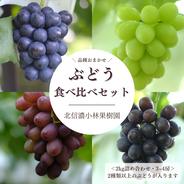 【konoha】藤稔の粒　箱込1kg弱 訳有りor粒切り】藤稔4kg箱 ｜ 果物/ぶどう 産直アウル 農家・漁師