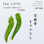 自然栽培】✨万願寺とうがらし！やめられない！止まらない！ご飯が進む
