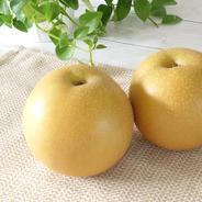 果汁溢れる豊水梨 特大果実 約3.3kg ｜ 果物/梨 産直アウル 農家・漁師