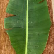 バナナの葉（バナナリーフ）4枚分 4枚（8切れ）500g 果物や野菜などのお取り寄せ宅配食材通販産地直送アウル