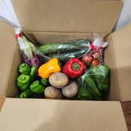 旬のお野菜お楽しみBOX　夏野菜セット なす3本　ズッキーニ1本　ピーマン5こ　など 果物や野菜などのお取り寄せ宅配食材通販産地直送アウル
