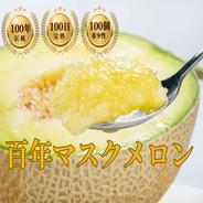 🍈農業王国が生んだ百年マスクメロン🍈農業算出額日本一100年の伝統が生んだ奇跡の結晶『百年マスクメロン』【7月下旬発送】 百年マスクメロン1個 果物や野菜などのお取り寄せ宅配食材通販産地直送アウル