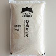 令和7年産 新潟県産 つきあかり 白米 10キロ プレゼント付き (送料込み