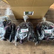 ☆有機JAS認証☆茄子500g×3袋 ☆有機JAS認証☆茄子500g×3袋 果物や野菜などのお取り寄せ宅配食材通販産地直送アウル