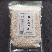 特別栽培米もち米【マンゲツモチ 玄米20kg】令和6年産・有機・低農薬