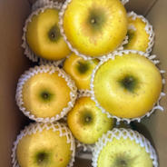 干し柿用 渋柿 10キロ | 果物/柿 産直アウル 農家から直接野菜などの