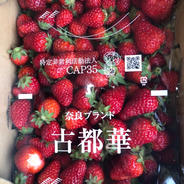奈良県産ブランドいちご古都華お得用　　　　　　(ジャム用等)1キロ箱入り 1キロ 果物や野菜などのお取り寄せ宅配食材通販産地直送アウル