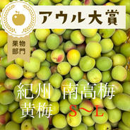 【小玉】【4kg】黄梅　南高梅 【4kg】【小玉】 果物や野菜などのお取り寄せ宅配食材通販産地直送アウル