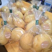 春一番新じゃが！2Lサイズ！馬鈴薯(ニシユタカ)5キロ(内容量4.5キロ