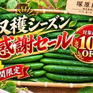 R7年産特別栽培米 コシヒカリ（玄米）20kg ｜ 米・穀物/玄米 産直